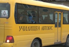 Шофьори редовно сигнализират за безнадзорни животни в този участъкБус с