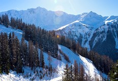 Четиричленно семейство загина при самолетна катастрофа във френските Алпи в