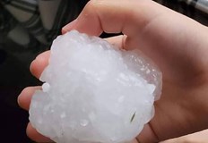 Продивоградова защита е планирана във Видин Монтана Враца Плевен Пазарджик