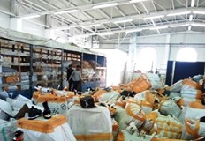 18 935 спортни дрехи чанти и маратонки с надписи и