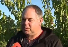 Близо 15 лева за килограм на едро достигна цената на