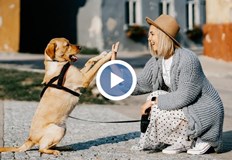 В Кюстендил се надяват да ограничат отпечатъка върху околната средаВ