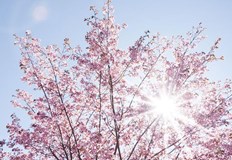 До 32 градуса ще достигнат температурите През нощта ще бъде ясно