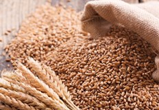 Над 25 милиона тона пшеница е блокирана в УкрайнаНад 25