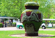 Русенци ще премерят сили в 14 вида спорт в Световния