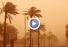 Повече от 1000 иракчани бяха откарани днес в болница заради