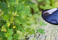 Съществува един стар трик който помага за решаването на два