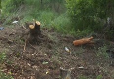 Четирима души загинаха след тежка катастрофа на пътя Пловдив