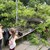 Спасиха майка и дете от падащо дърво в Пловдив