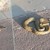 Змия стресна минувачи на кея в Русе