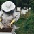 Над 1 100 са регистрираните пчелари в Русенско