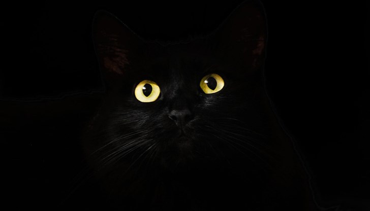 "Фаталната" дата може да поражда страхове сред суеверните, но на нея са се случили и някои важни събития