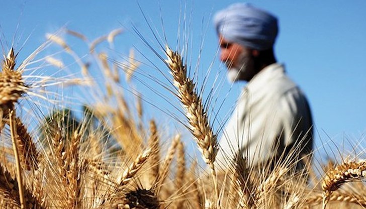 Глобалните купувачи разчитаха на Индия за снабдяването си с пшеница, след като износът от Черноморския регион рязко намаля заради войната в Украйна