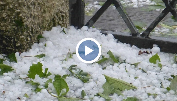 Земеделски производител сподели, че реколтата му е напълно унищожена