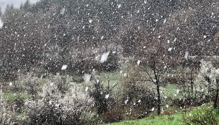 Явлението не е непознато по нашите ширини