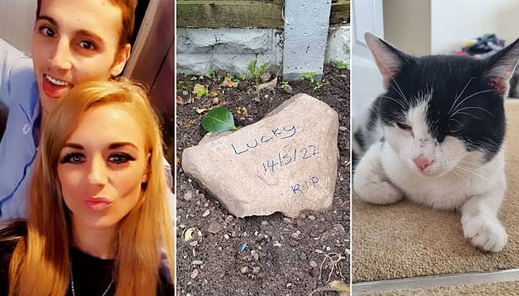 Семейната двойка от британския град Бирмингам е заровила чужд домашен любимец, прегазен от колоездач Семейната двойка от британския град Бирмингам е заровила чужд домашен любимец, прегазен от колоездач