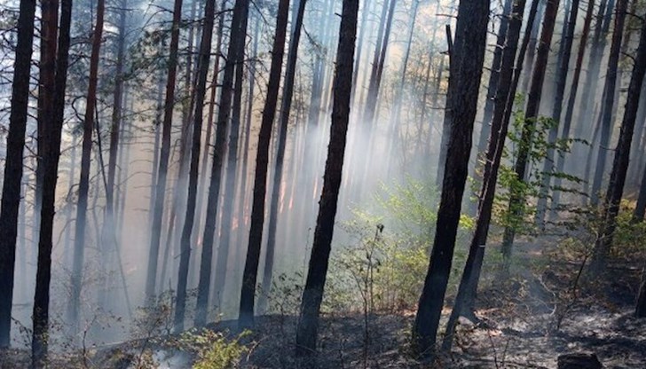 В момента пожарът е локализиран, но все още не е потушен