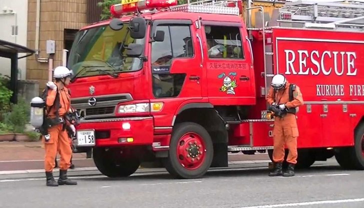 Той искал да подплаши ято оси със сигнална ракета Той искал да подплаши ято оси със сигнална ракета