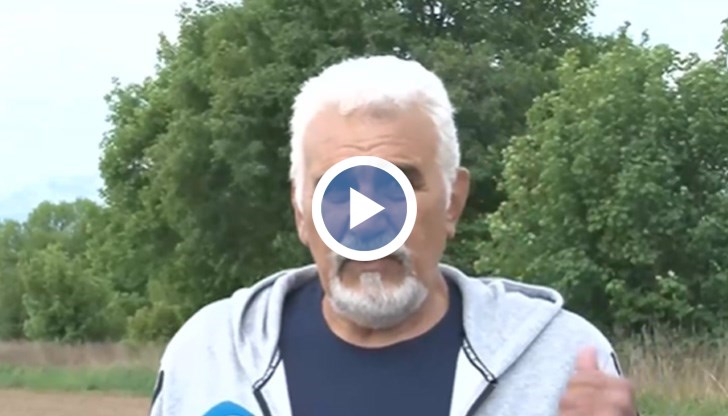 Поскъпват ли драстично българските картофи?