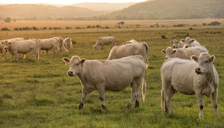 Ако този метан бъде уловен, с него може да се осигури енергията на над 15 000 жилища