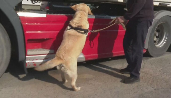 Четириногите търсачи се използват за товари, които са опаковани по специален начин