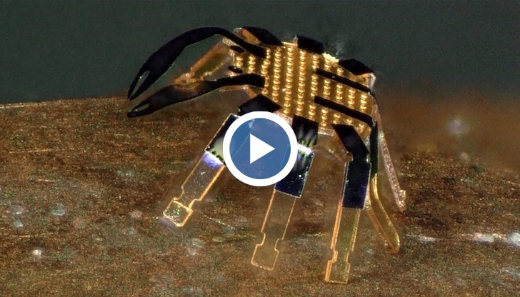 Миниатюрни роботи-раци са по-малки от бълха