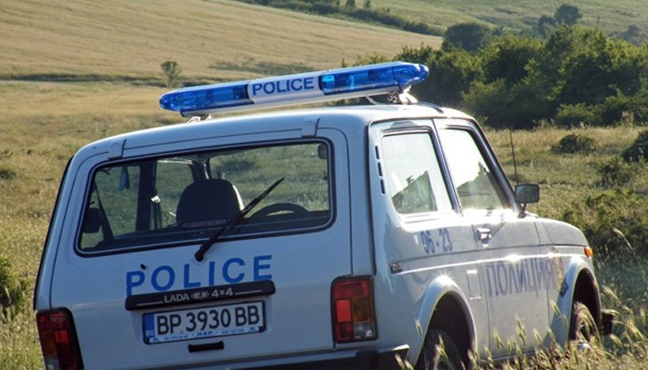 Някой ги избивал за развлечение