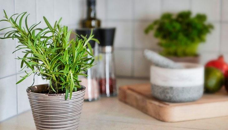 Серуми, маски и терапии за коса с масло и листа от розмарин