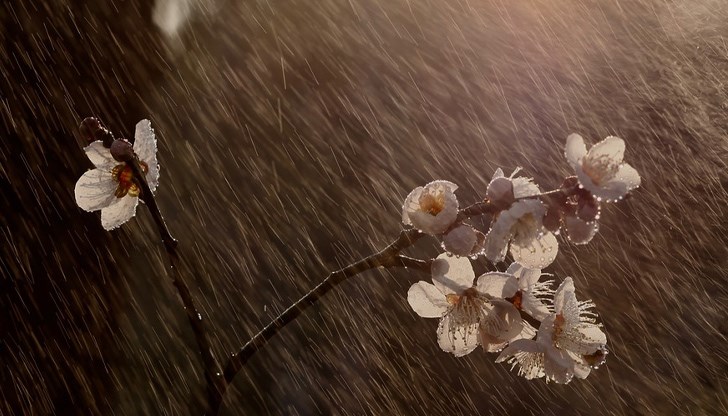 Очаква се слънце до обяд и превалявания от дъжд в следобедните часове