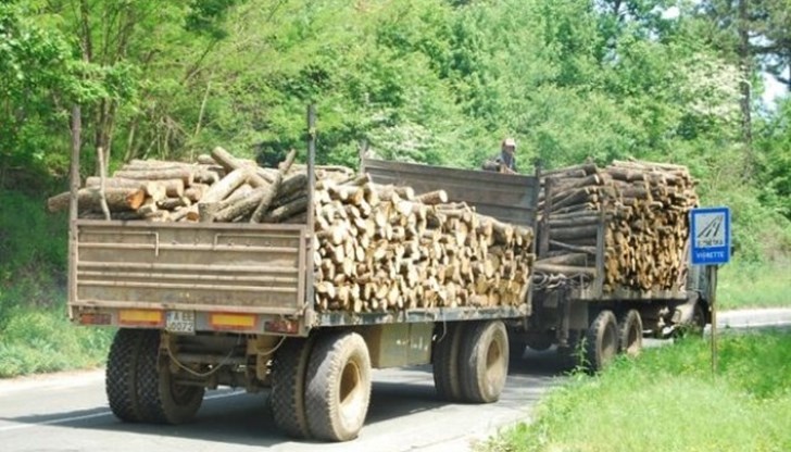 Освен дървесината, са задържани превозното средство и превозният билет