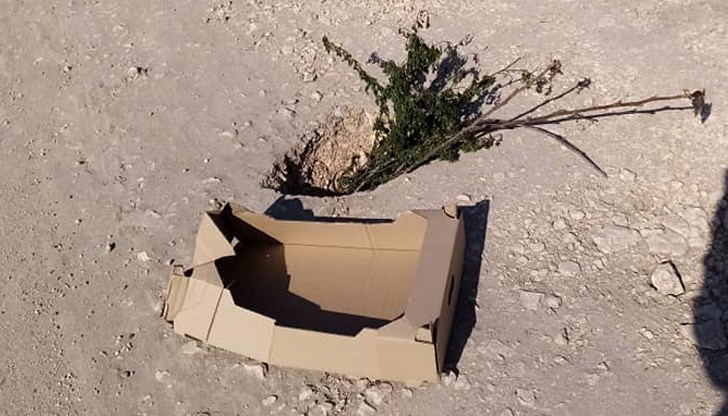 "Възможността да плащаш данъци е за да живееш в нормална среда. Къде е тая среда в Русе?!, пита Йордан Стоянов