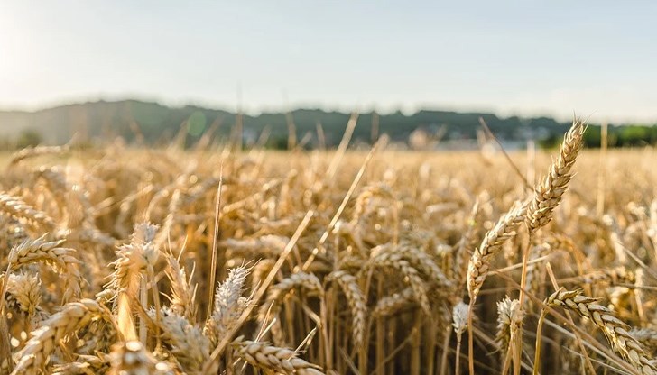 Температурите достигнаха 50 градуса в някои райони на Индия през последните седмици, Европа също бие тревога. Температурите достигнаха 50 градуса в някои райони на Индия през последните седмици, Европа също бие тревога.