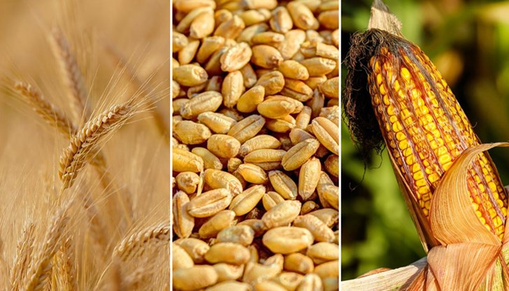 Цените ще бъдат повлияни основно от ситуацията в Украйна