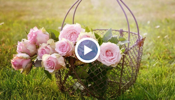 Десетки тонове розов цвят да могат да останат неприбрани