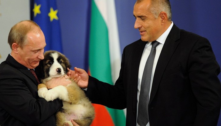 Борисов днес обясни как кучето само се хвърлило в обятията на Путин. Демек, не е искал да му подарява куче и да му се подмазва