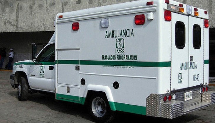 Автобусът е превозвал работници от фирма производител на горски плодове, когато спирачките са отказали