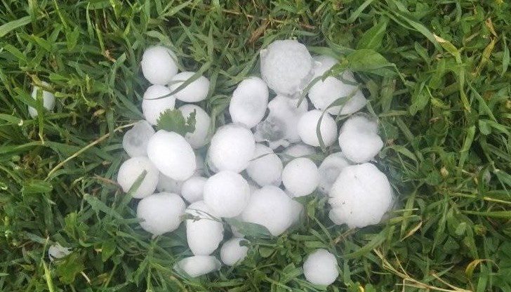 В Симеоновград, Харманли и някои от крайните хасковски квартали градушката бе с големина между лешник и орех. В Симеоновград, Харманли и някои от крайните хасковски квартали градушката бе с големина между лешник и орех.