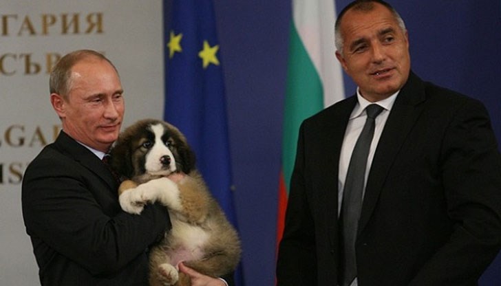 Бившият премиер се изяви като адвокат на руската компания "Газпром", която миналата седмица спря подаването на газ към България Бившият премиер се изяви като адвокат на руската компания "Газпром", която миналата седмица спря подаването на газ към България