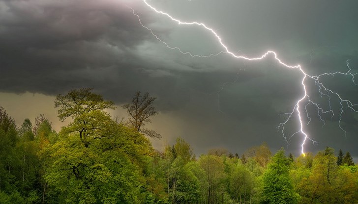 Пречупени и паднали дървата са повредили автомобили и са блокирали шосета и железопътни линии