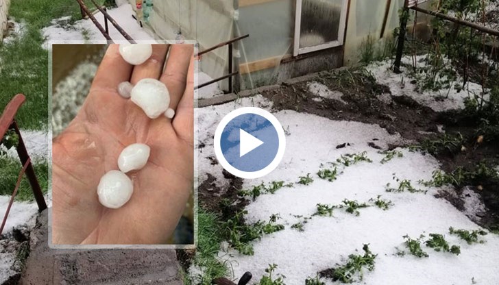 Щетите са големи, каза кметът на селото