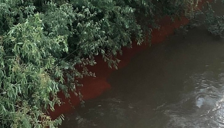 Хората от района предлагат да се премахне растителността около тръбата на заустване, за да може да се вижда какво изтича