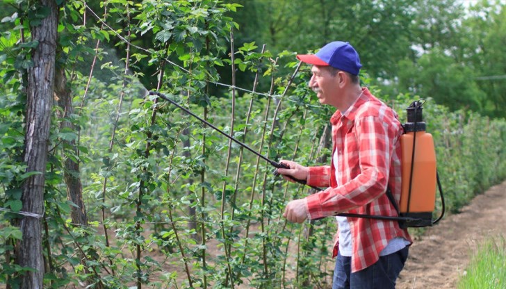 Решаващо условие е своевременното провеждане на мероприятията за борба с вредителите и болестите