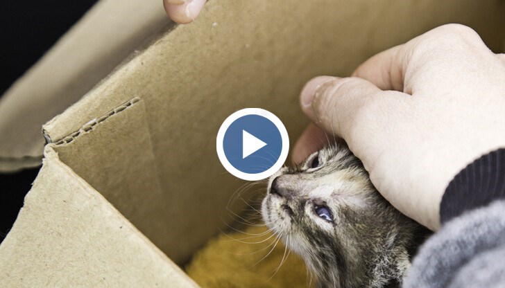 Местни жители казаха, че постъпката на спасителите доказва, че в град, който мирише на смърт, се е случило малко чудо