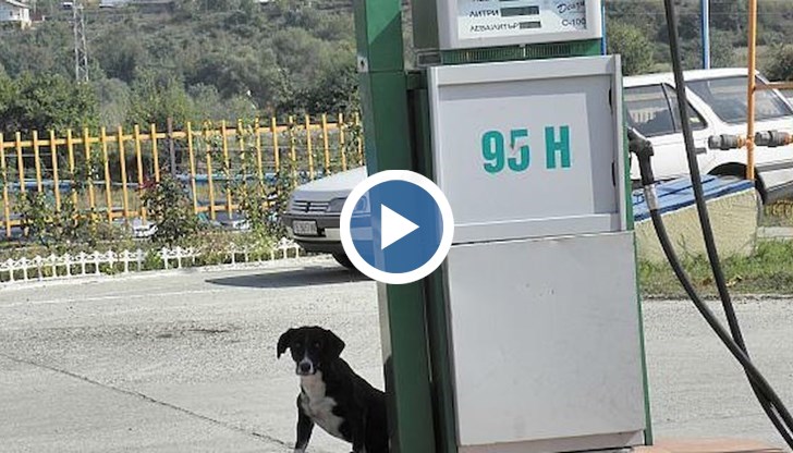 Зад частната компания "Мед" стоят руски интереси, смята Христо Казанджиев