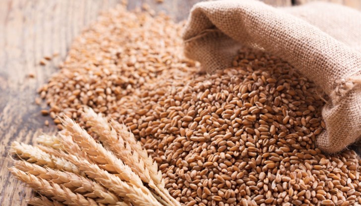 Над 25 милиона тона пшеница е блокирана в Украйна