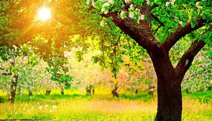 Максималните температури ще бъдат между 20° и 25° Максималните температури ще бъдат между 20° и 25°