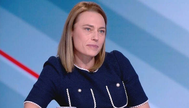 "Това не е текущ ремонт, махат се лесно и не са повредили фасадата" , заяви Митева