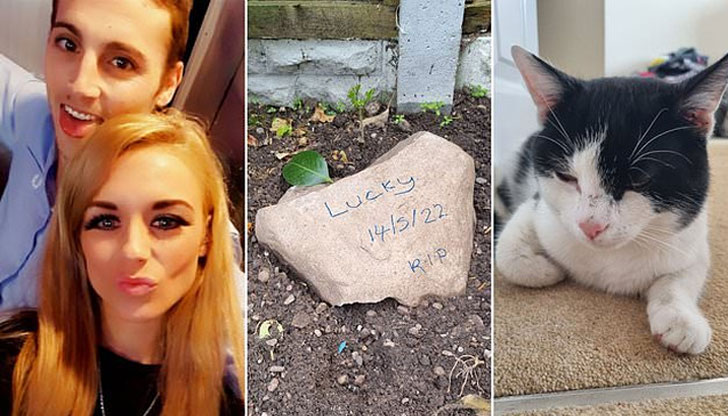 Семейната двойка от британския град Бирмингам е заровила чужд домашен