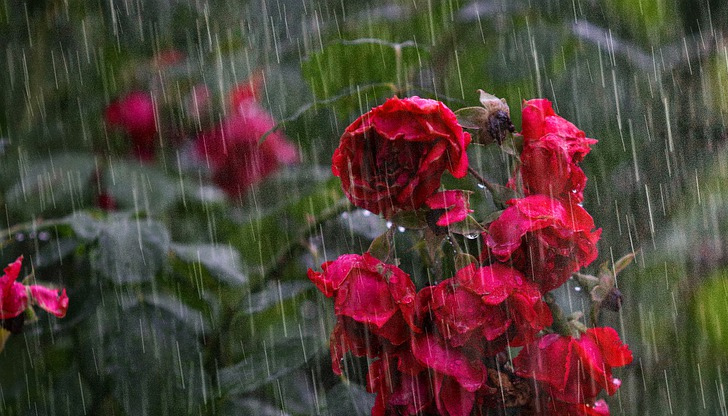 Обявен е жълт и оранжев код за 12 области в