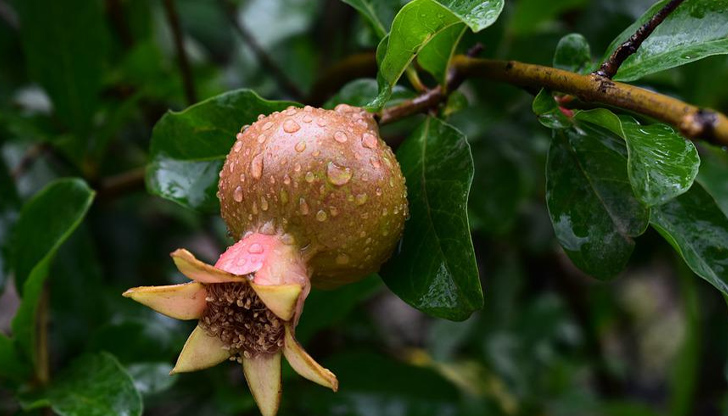 Максималните температури ще бъдат между 20&deg; и 25&deg;През нощта над